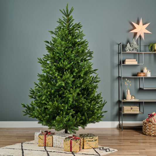NORDMANN FIR-GREEN