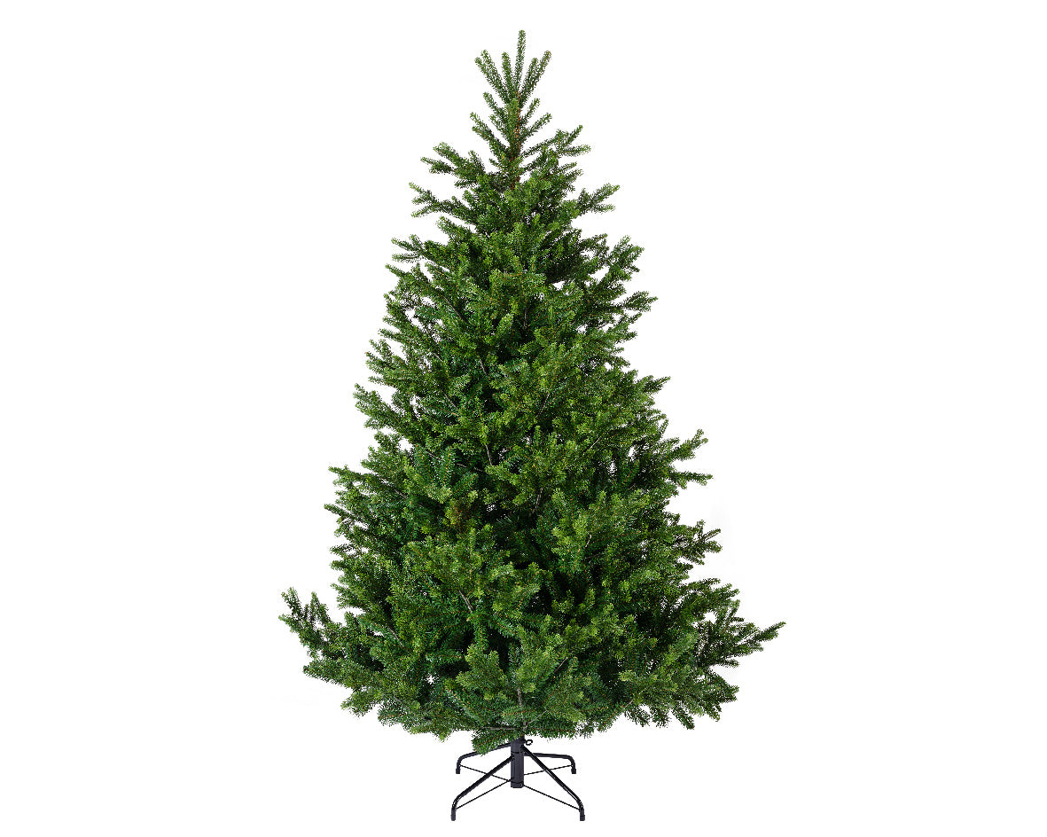 NORDMANN FIR-GREEN