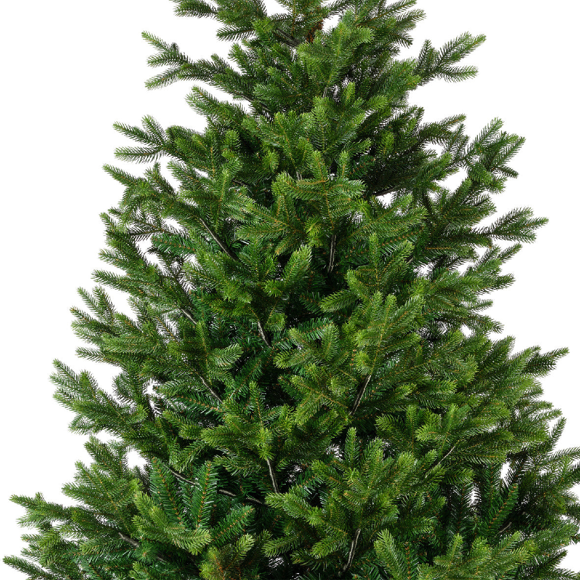 NORDMANN FIR-GREEN