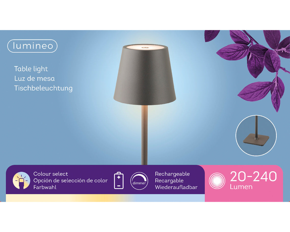 LED TABLE LIGHT IRON STEADY INDOOR-GREY