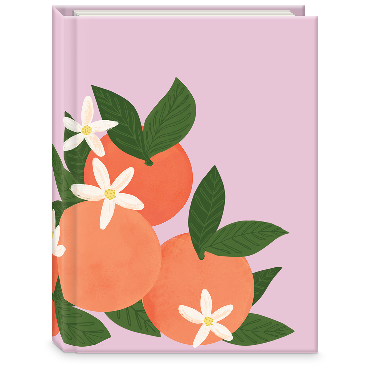 Planning and notepad Apricot set